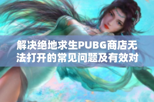 解决绝地求生PUBG商店无法打开的常见问题及有效对策分享