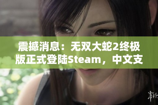 震撼消息：无双大蛇2终极版正式登陆Steam，中文支持引燃热潮