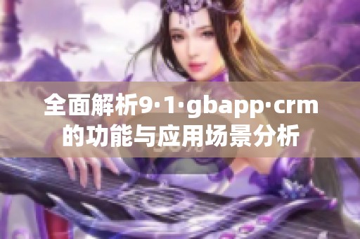 全面解析9·1·gbapp·crm的功能与应用场景分析