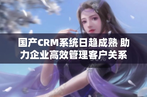 国产CRM系统日趋成熟 助力企业高效管理客户关系