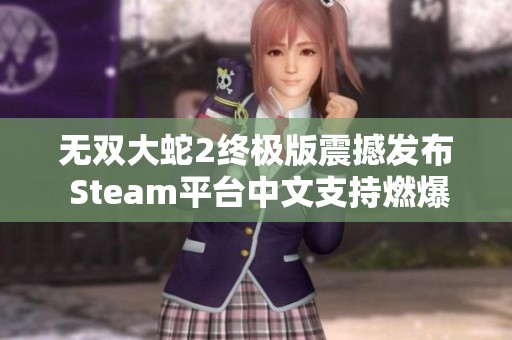 无双大蛇2终极版震撼发布 Steam平台中文支持燃爆来袭