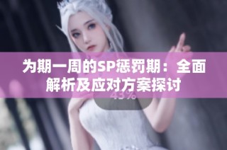 为期一周的SP惩罚期：全面解析及应对方案探讨