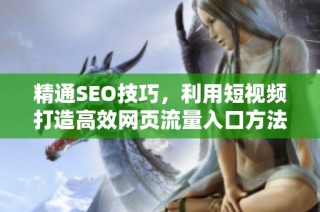 精通SEO技巧，利用短视频打造高效网页流量入口方法