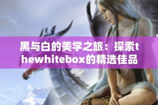 黑与白的美学之旅：探索thewhitebox的精选佳品