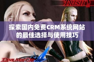 探索国内免费CRM系统网站的最佳选择与使用技巧