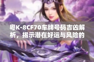 粤K-8CF70车牌号码吉凶解析，揭示潜在好运与风险的详细查询指南