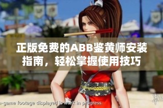 正版免费的ABB鉴黄师安装指南，轻松掌握使用技巧