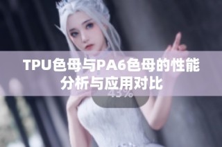 TPU色母与PA6色母的性能分析与应用对比