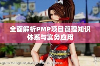 全面解析PMP项目管理知识体系与实务应用