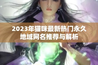 2023年猫咪最新热门永久地域网名推荐与解析