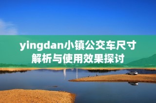 yingdan小镇公交车尺寸解析与使用效果探讨