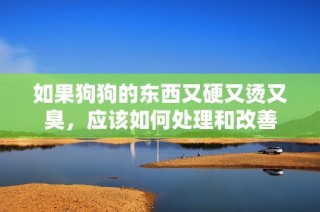 如果狗狗的东西又硬又烫又臭，应该如何处理和改善