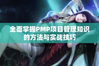 全面掌握PMP项目管理知识的方法与实战技巧