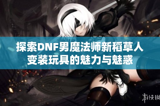 探索DNF男魔法师新稻草人变装玩具的魅力与魅惑